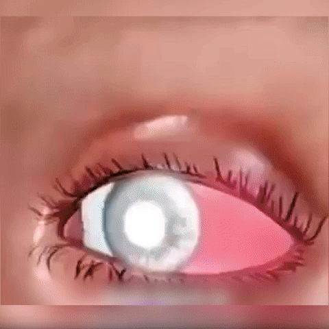 PureVision™ | Vision-Enhancing Roller