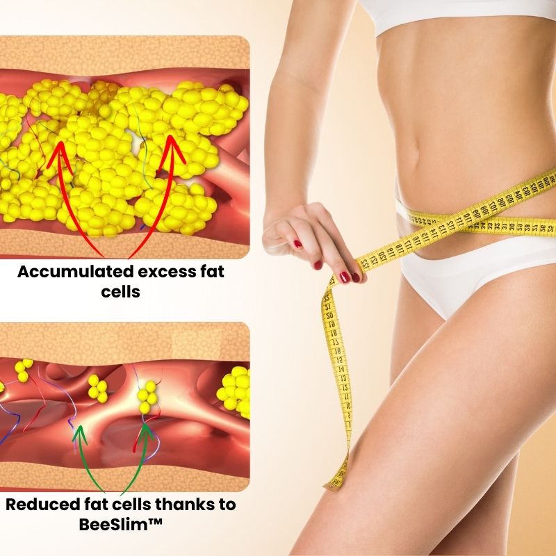 BeeSlim™ | Perfectly Slim Body in Just 1 Week!
