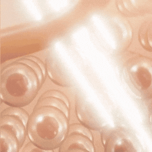 NouriLift™ | Beef Tallow & Manuka Honey Balm for Skin Firming