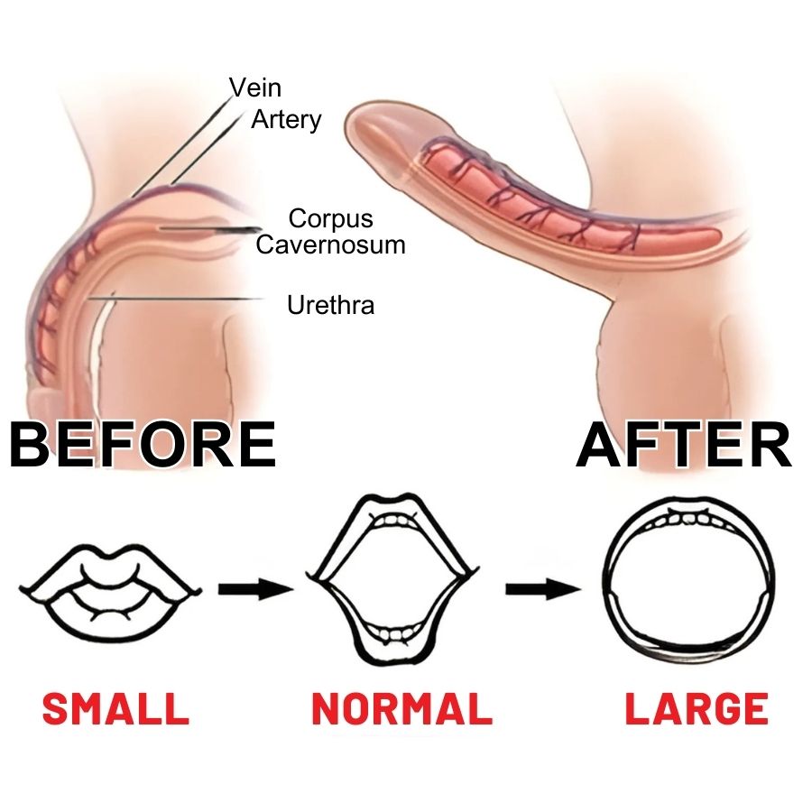 AlphaRise™ | Erection Stimulation Patch