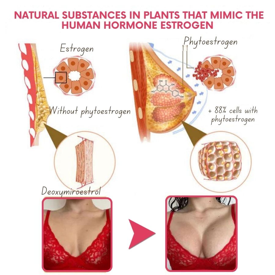 PowerBust™ | Natural Breast Cream