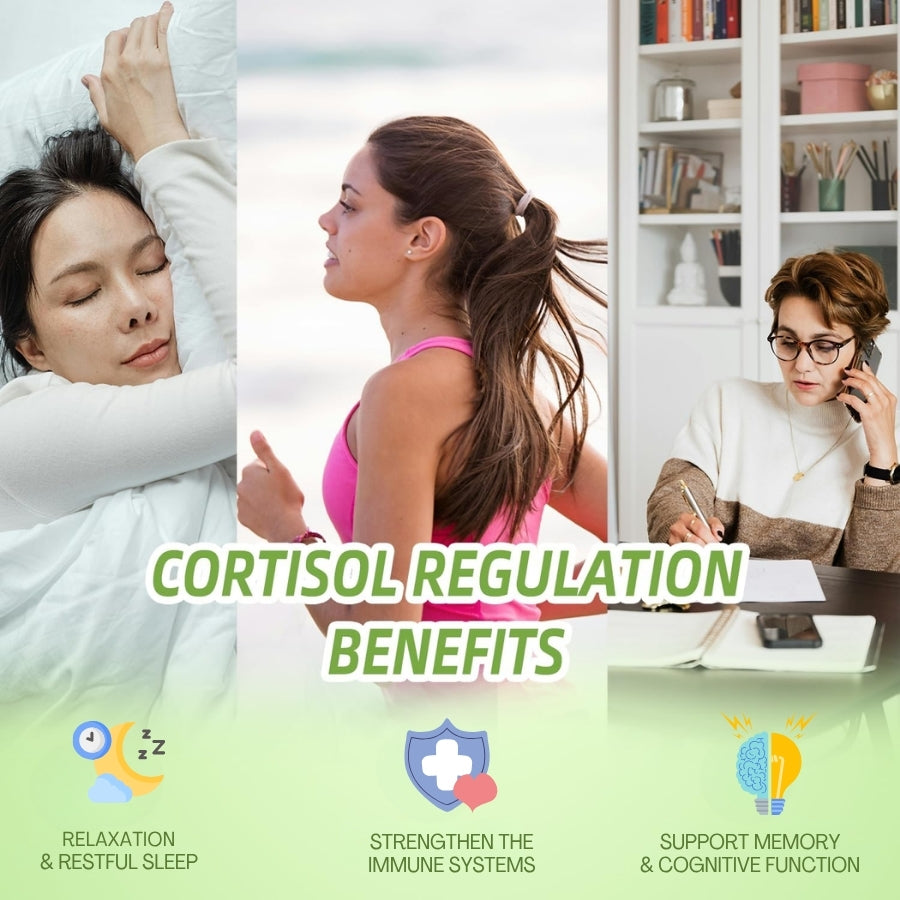Seloria™ | Cortisol Wellness Liquid Drops