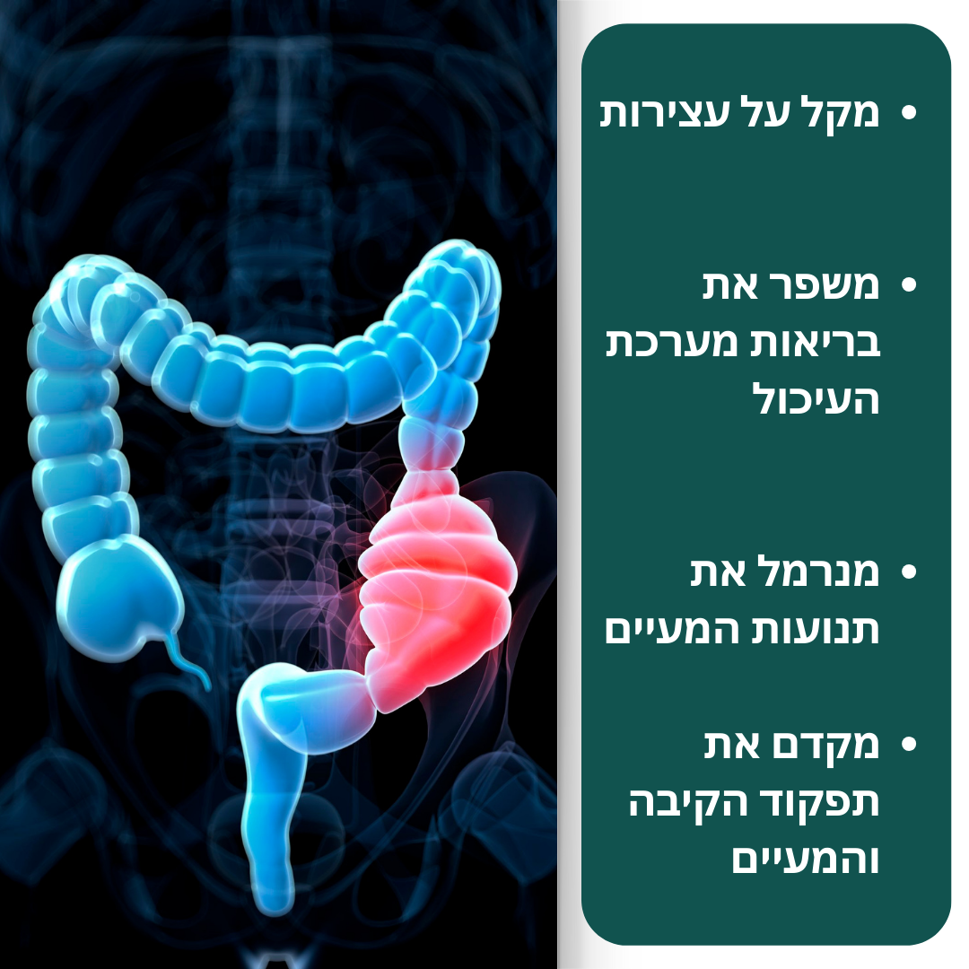 DigestFree™ | השתחררו מעצירות כרונית בפחות מ-8 שעות!