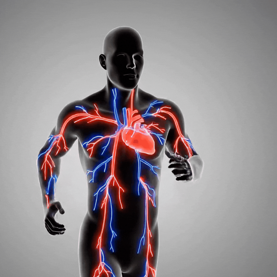 HemaVive™ |Cardiovascular Health & Circulation Supplement